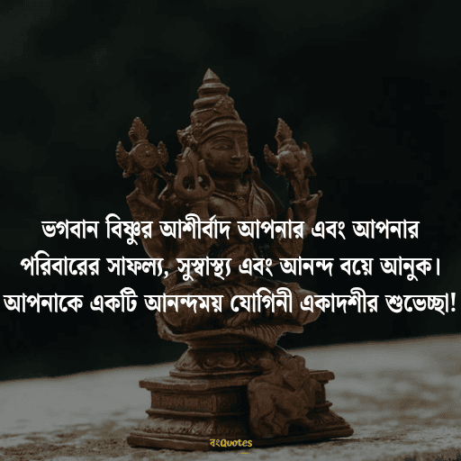 একাদশী নিয়ে উক্তি 3