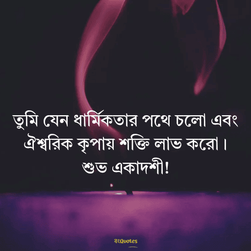 একাদশী নিয়ে উক্তি 7