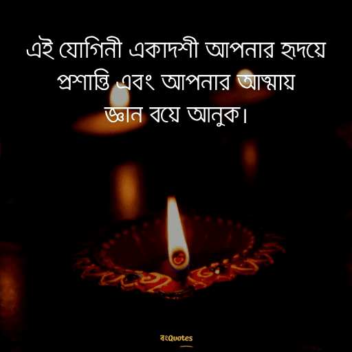 একাদশী নিয়ে উক্তি 15