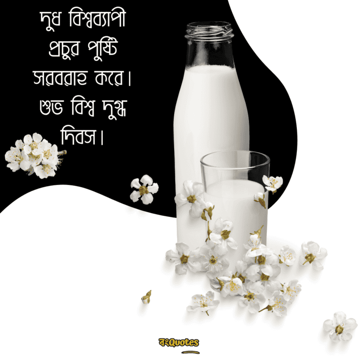 বিশ্ব দুগ্ধ দিবসের বার্তা 12