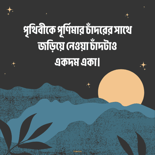 পূর্ণিমা নিয়ে উক্তি 11