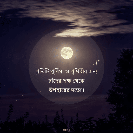 পূর্ণিমা নিয়ে উক্তি 13