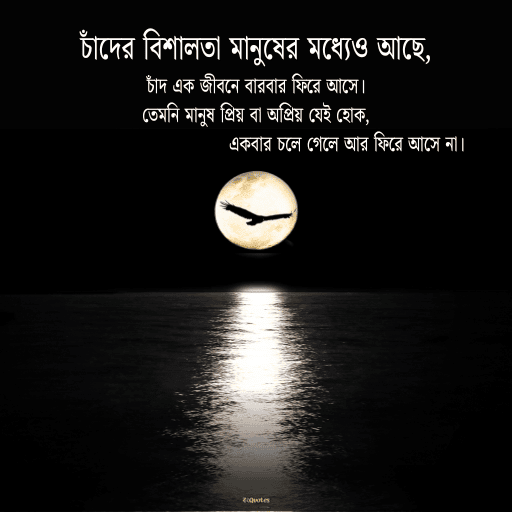পূর্ণিমা নিয়ে উক্তি 4