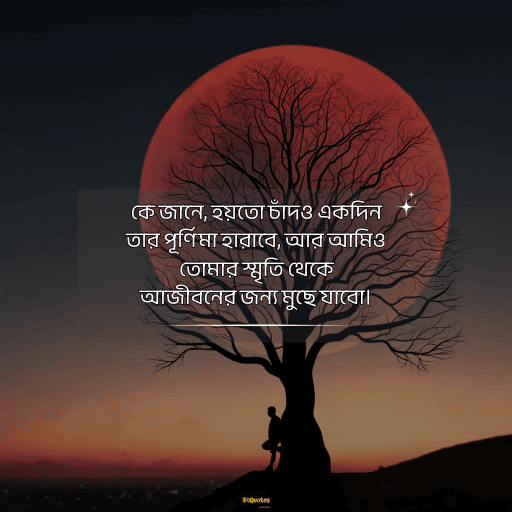 পূর্ণিমা নিয়ে উক্তি 7