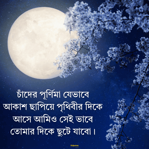 পূর্ণিমা নিয়ে উক্তি 8