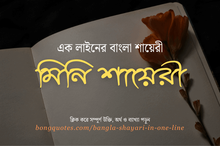 এক লাইনের বাংলা শায়েরী