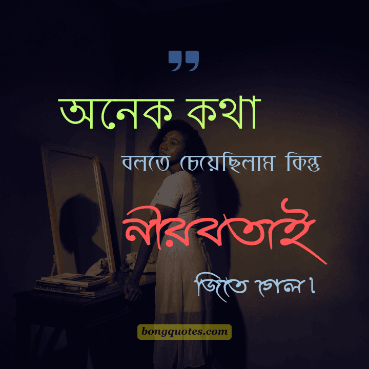 অনেক কথা বলতে চেয়েছিলাম,
কিন্তু নীরবতাই জিতে গেল।